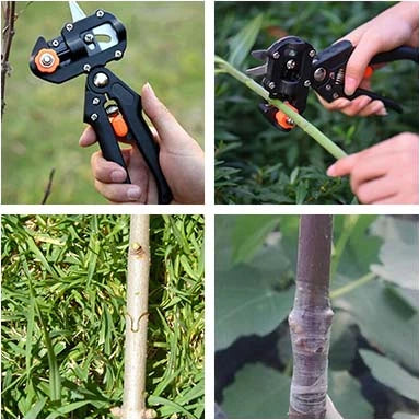 Garden Professional Grafting Cutting Tool - (Father's Day Pre Sale-30% OFF)