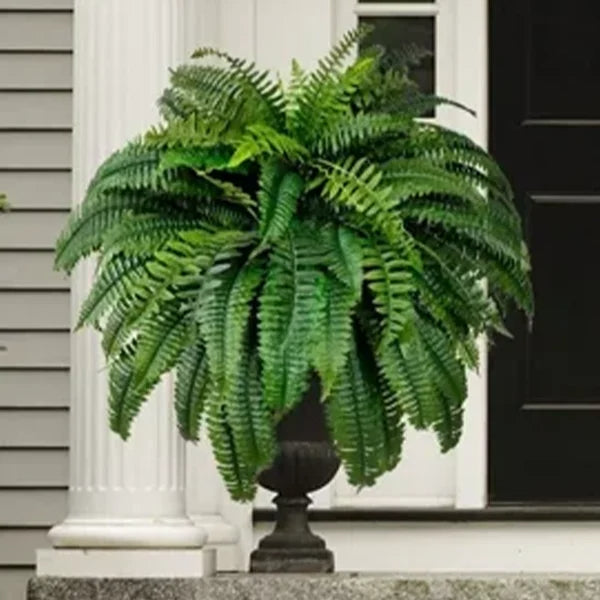 UV Resistant Lifelike Artificial Boston Fern - This Week's Special Price $19.99