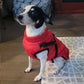 Boxzola - WATERPROOF DOG JACKET WITH HARNESS - Hot Sale 50% Off