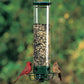 Squirrel-Proof Bird Feeder - Hot sale 50%