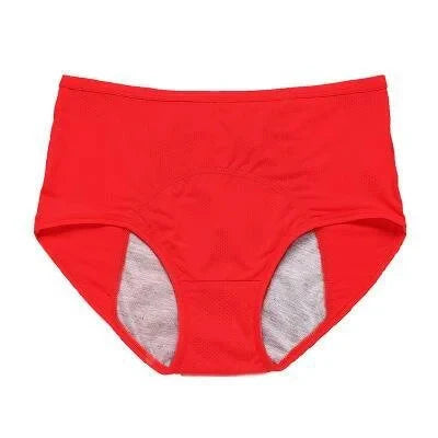 High Waist Leak Proof Panties - Hot Sale 50% Off