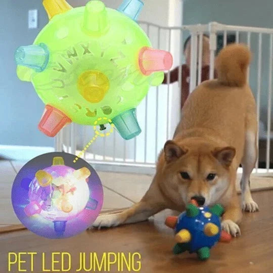 PetsBoro - Jumping activation ball - Hot Sale 50%