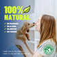 Teeth Cleaning Spray for Dogs & Cats - HOT SALE PROMOTION - 49% OFF