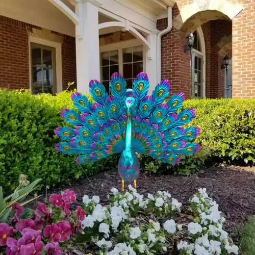 Beautiful Peacock Statue Decor-Buy 2 Free VIP Shipping – Last Day Promotion- SAVE 70%