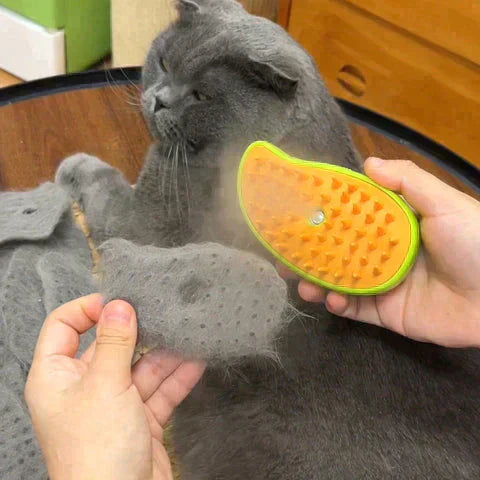 Steam pet brush