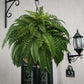 UV Resistant Lifelike Artificial Boston Fern - Hot Sale 50% Off