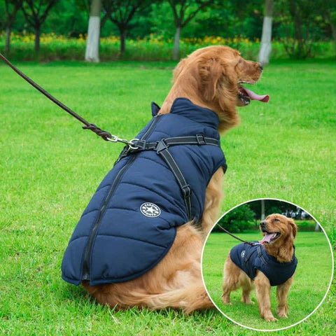 Boxzola - WATERPROOF DOG JACKET WITH HARNESS - Hot Sale 50% Off