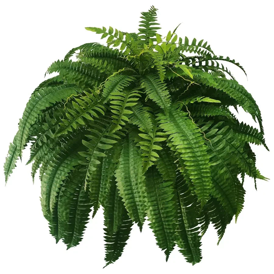 UV Resistant Lifelike Artificial Boston Fern – Hot Sale 50% Off