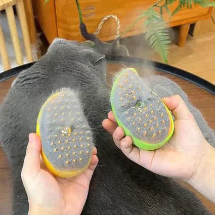 Steam pet brush