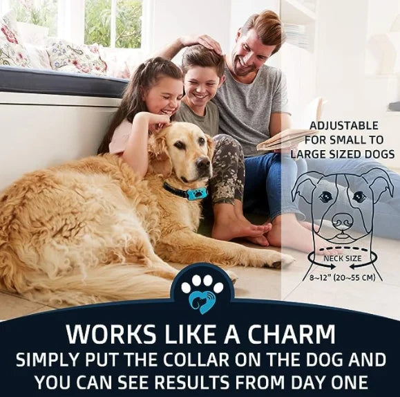 Anti-Bark Collar - Hot Sale 50% Off