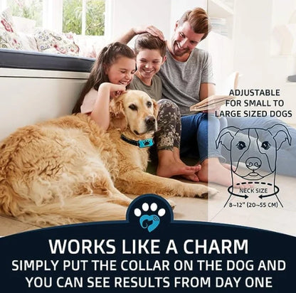 Anti-Bark Collar - Hot Sale 50% Off