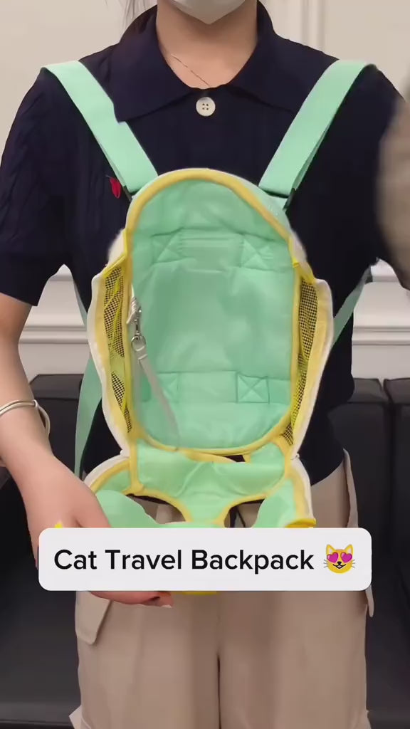 Pet Travel Carrier