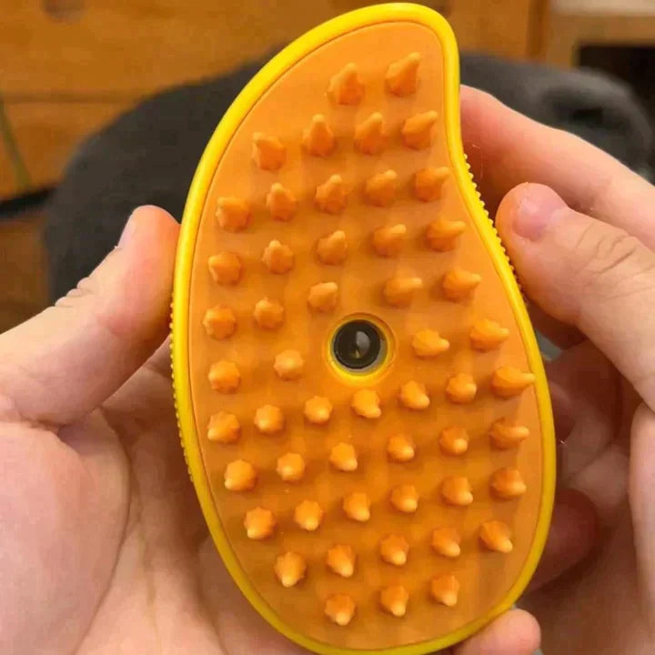 Steam pet brush