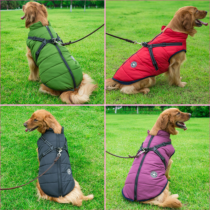 Pawly - Waterproof Winter Jacket With Built-In Harness