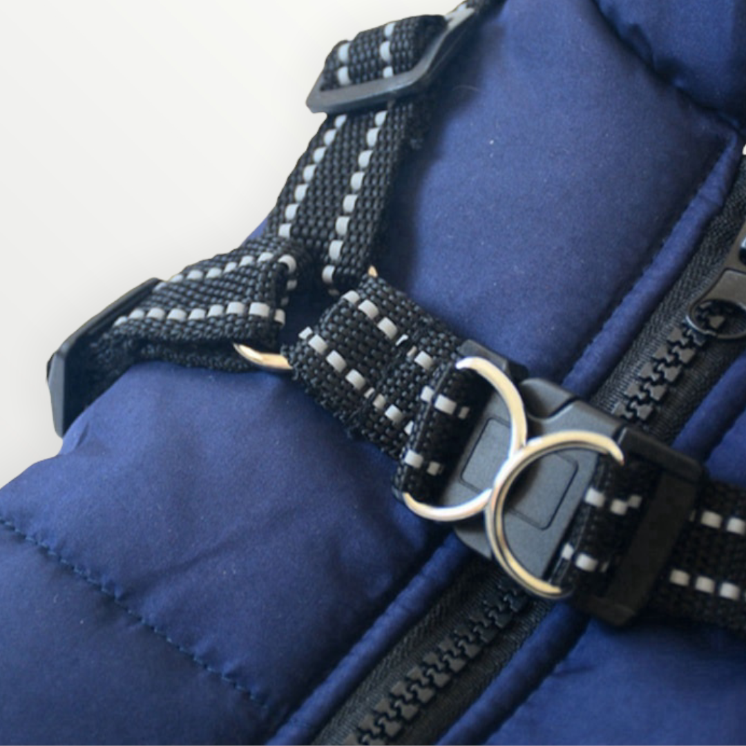 Pawly - Waterproof Winter Jacket With Built-In Harness