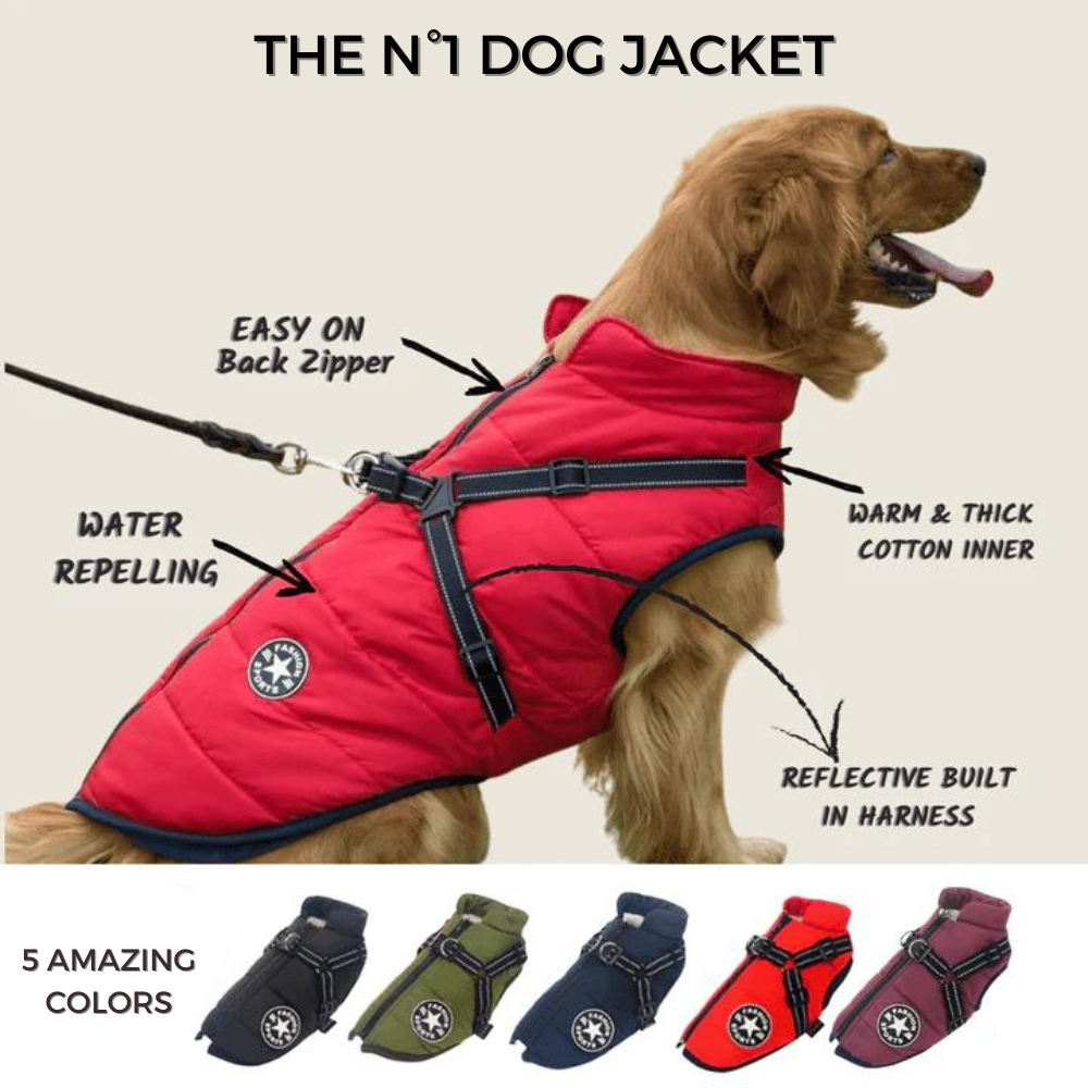 Pawly - Waterproof Winter Jacket With Built-In Harness