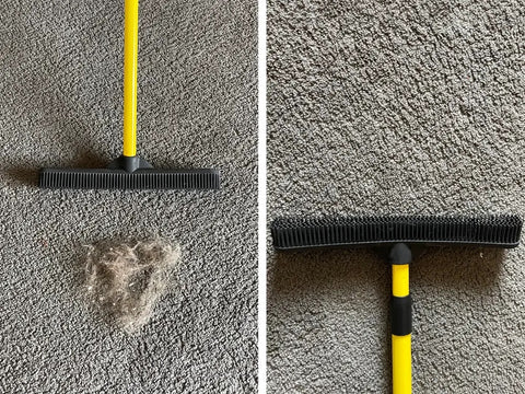 Pet Hair Removal Broom