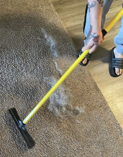 Pet Hair Removal Broom