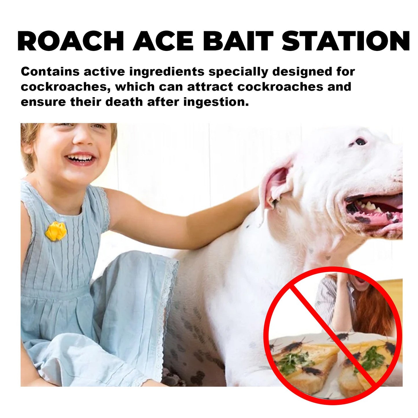 Roach Ace Bait Station