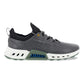 Men's Biom C4 Gore-tex Waterproof Golf Shoe