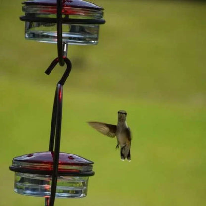 Hummble Slim Hummingbird Feeder - Last Day Promotion-70% OFF