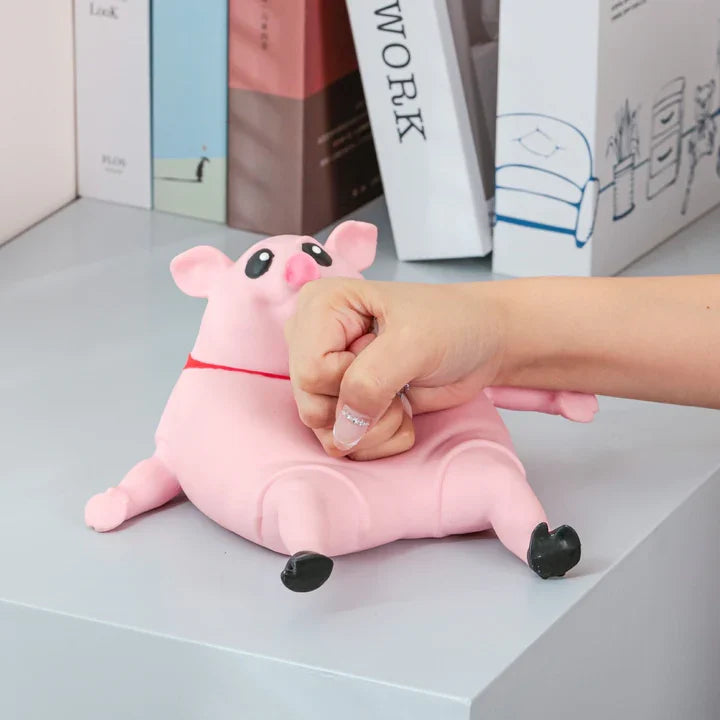 Piggy Squeeze Toy | Acknowledgen - Christmas Sale 49%