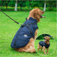 Waterproof Furry Jacket for Dogs of All Sizes