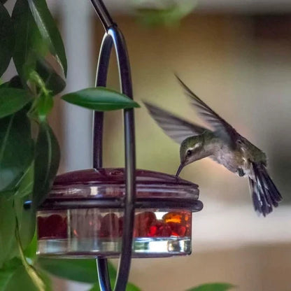 Hummble Slim Hummingbird Feeder - Last Day Promotion-70% OFF