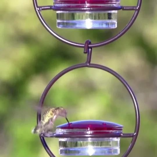 Hummble Slim Hummingbird Feeder – Hot Sale 50% Off