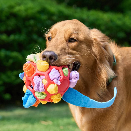 WaggleHound - Snuffle Ball Interactive Treat Game - Hot Sale 40% Off