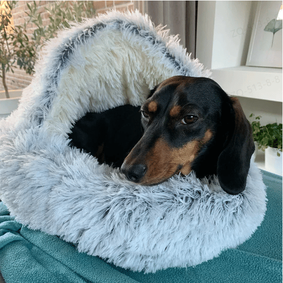 CozyCave - Premium Pet Bed 49% SALE - Vip Shipping