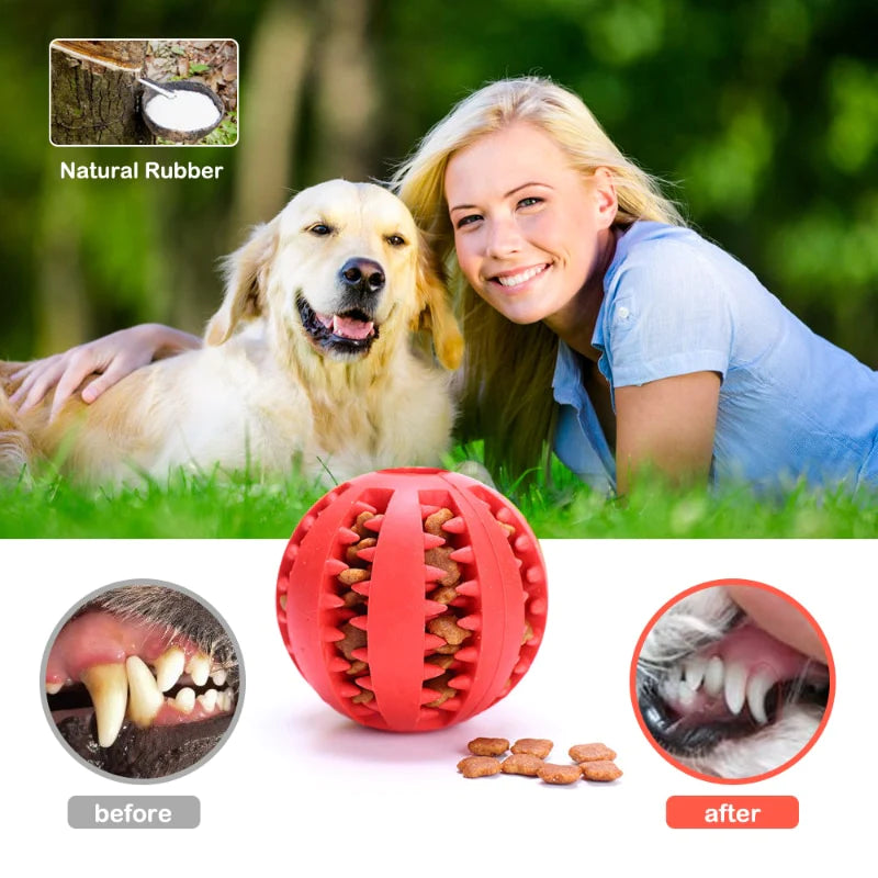 BounceBark - Interactive Rubber Pet Dog Toy