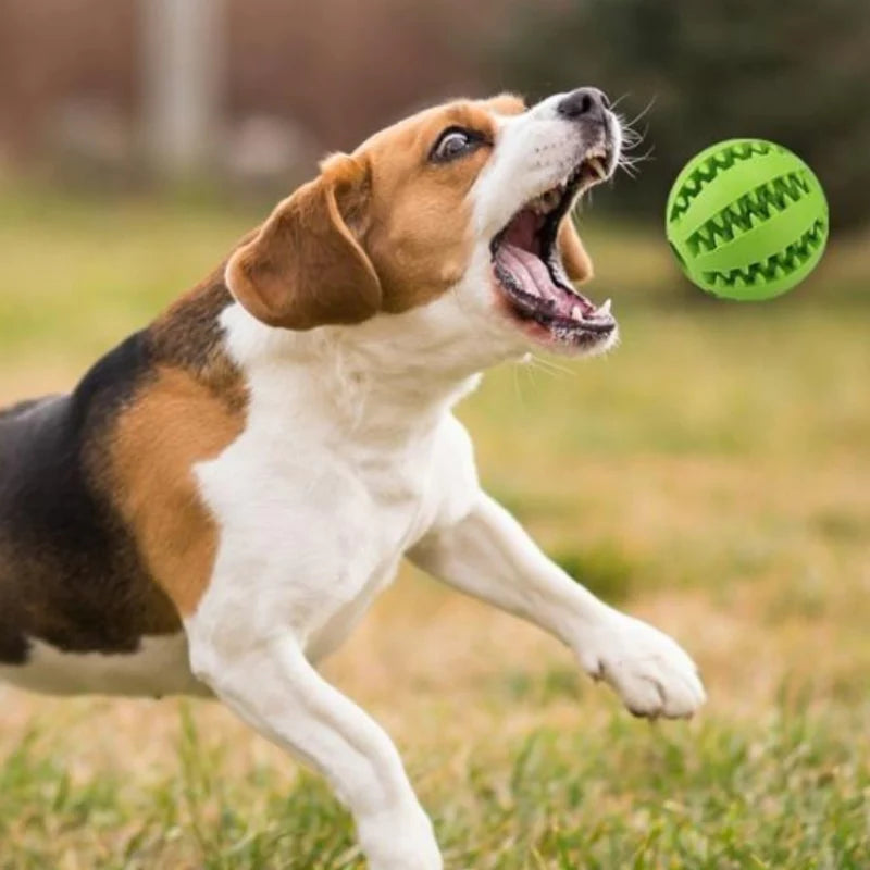 BounceBark - Interactive Rubber Pet Dog Toy