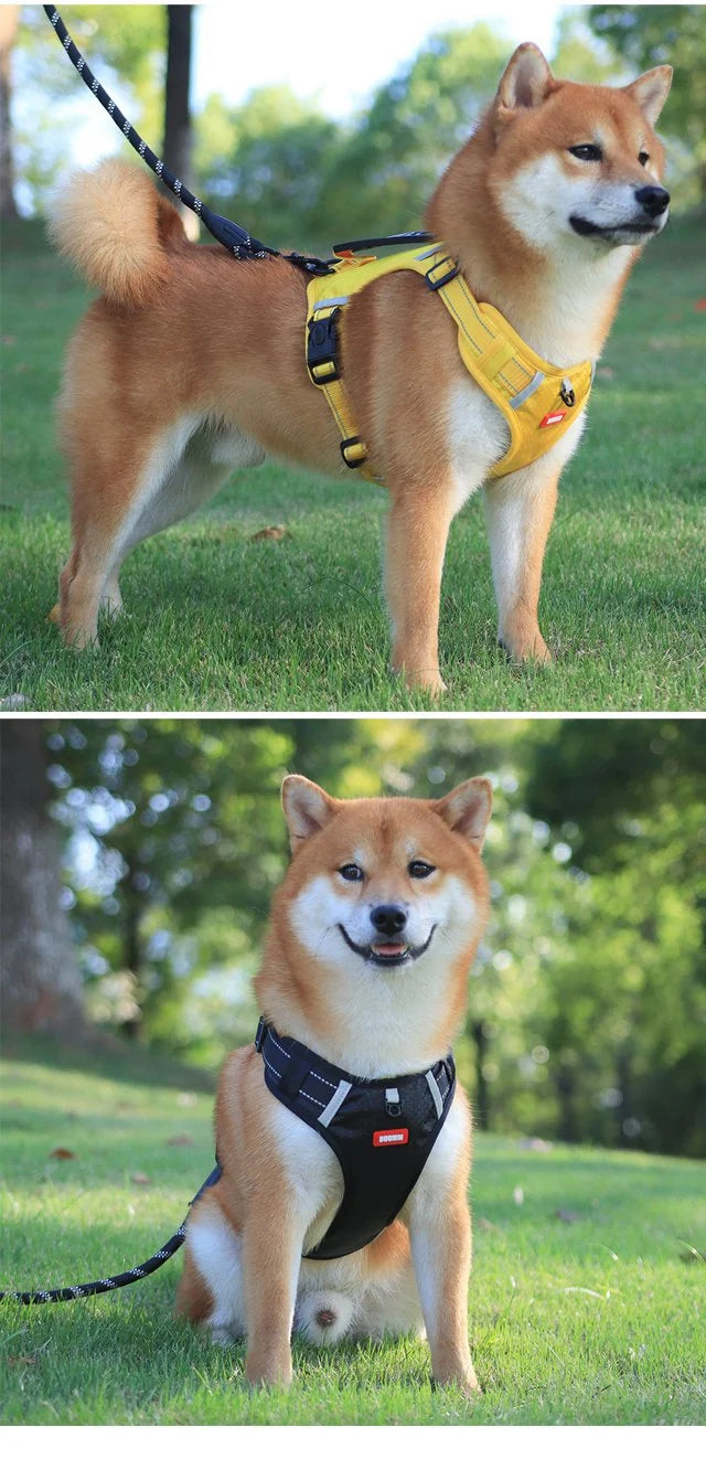 No Pull Dog Harness for Pets - Hot Sale 50% Off