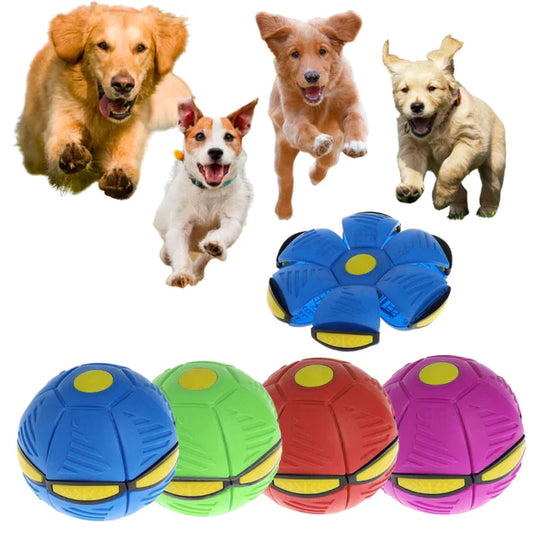 AirBall - Interactive Ball for Dogs