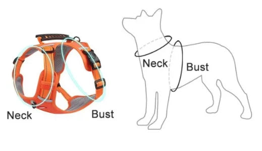 No Pull Dog Harness for Pets - Hot Sale 50% Off