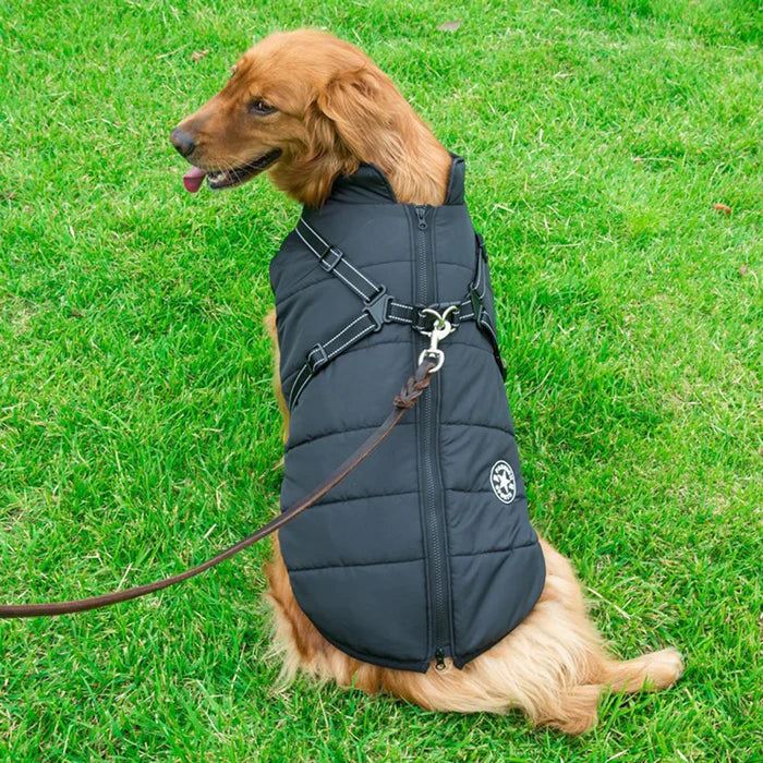 MRMIGHTYPUPS - WATERPROOF WINTER JACKET WITH BUILT-IN HARNESS-BLACK FRIDAY SALE (50% OFF)