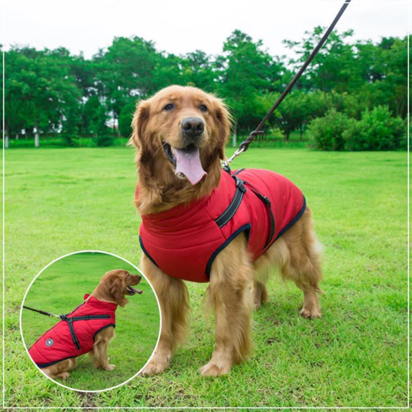 MRMIGHTYPUPS - WATERPROOF WINTER JACKET WITH BUILT-IN HARNESS-BLACK FRIDAY SALE (50% OFF)