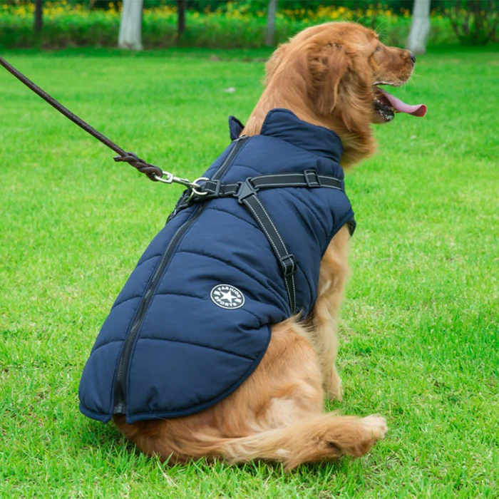 MRMIGHTYPUPS - WATERPROOF WINTER JACKET WITH BUILT-IN HARNESS-BLACK FRIDAY SALE (50% OFF)