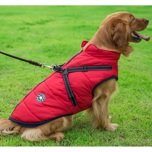 MRMIGHTYPUPS - WATERPROOF WINTER JACKET WITH BUILT-IN HARNESS-BLACK FRIDAY SALE (50% OFF)