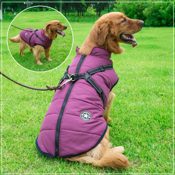 MRMIGHTYPUPS - WATERPROOF WINTER JACKET WITH BUILT-IN HARNESS-BLACK FRIDAY SALE (50% OFF)