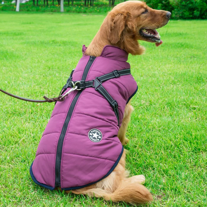 MRMIGHTYPUPS - WATERPROOF WINTER JACKET WITH BUILT-IN HARNESS-BLACK FRIDAY SALE (50% OFF)