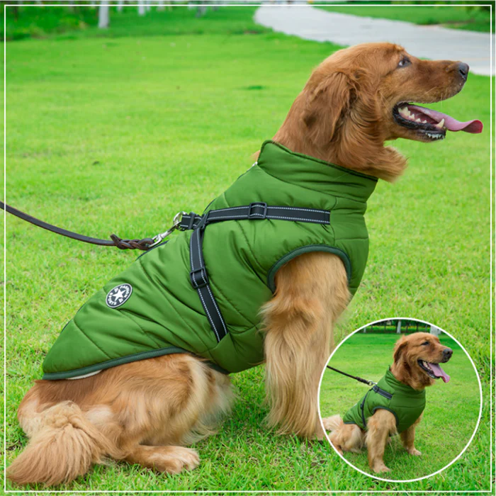 MRMIGHTYPUPS - WATERPROOF WINTER JACKET WITH BUILT-IN HARNESS-BLACK FRIDAY SALE (50% OFF)