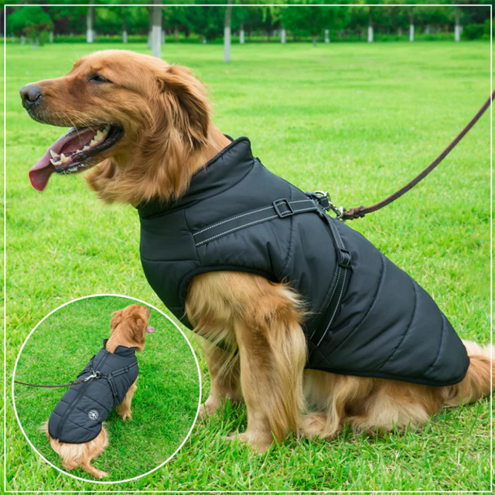 MRMIGHTYPUPS - WATERPROOF WINTER JACKET WITH BUILT-IN HARNESS-BLACK FRIDAY SALE (50% OFF)