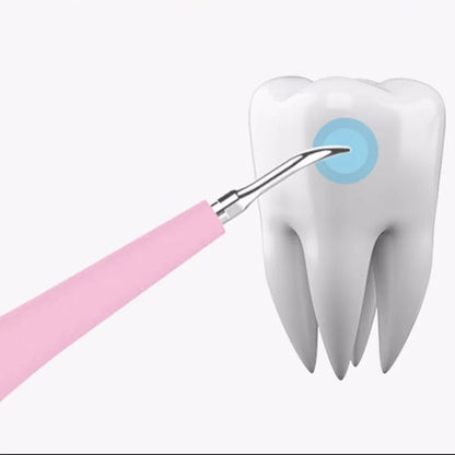 Portable Electric Sonic Dental