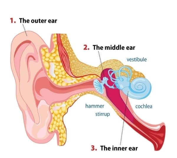 Instant Tinnitus Relief Nasal Inhaler