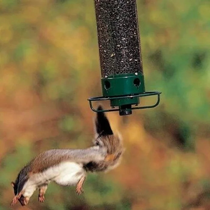 100% Squirrel-Proof Bird Feeder - New Spring 2023 - 49% OFF