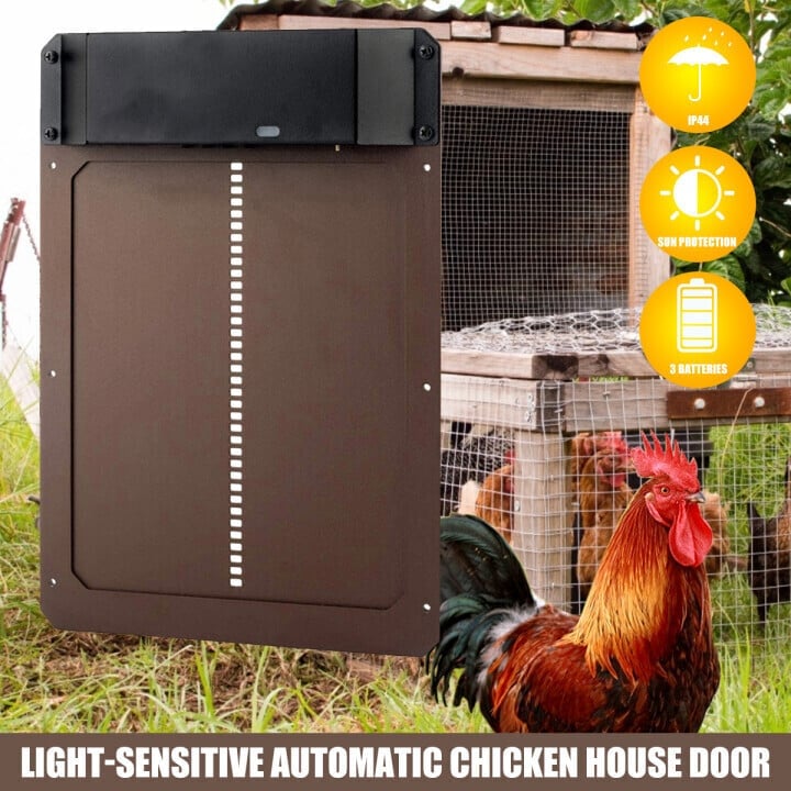 (Hot Sale)-Poultry Farm Automatic Chicken House Door