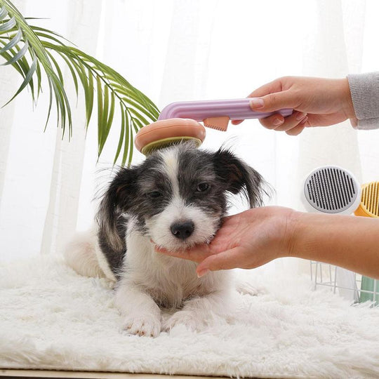 The Self - Cleaning Brush