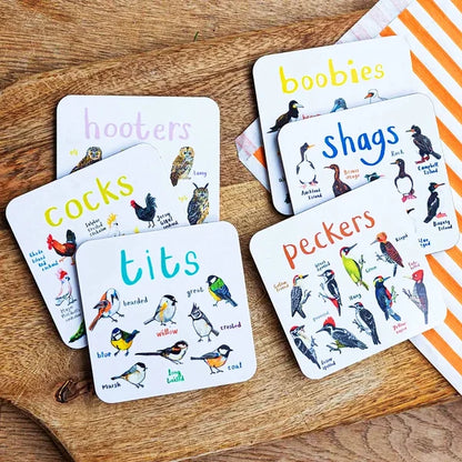 Set of 6 Bird Pun Coasters - Last Day 70% OFF